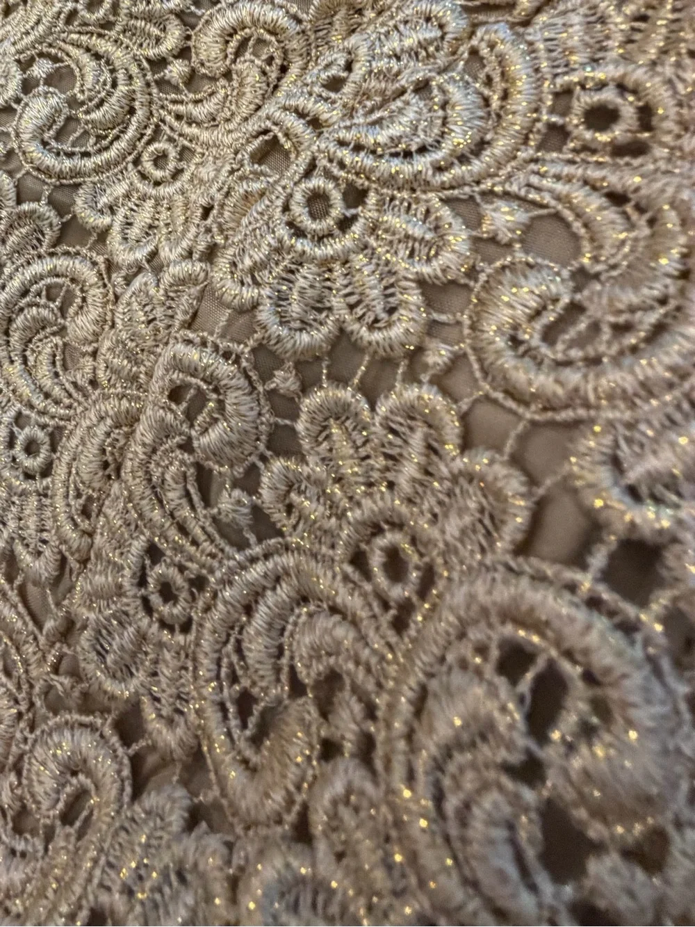 Talbots‎ Gold Metallic Lace Blazer Holiday Jacket Fully Lined Taupe Tan 10P VTG